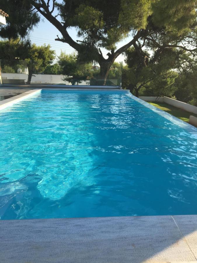 Villa Tranquility Лагонисси Экстерьер фото