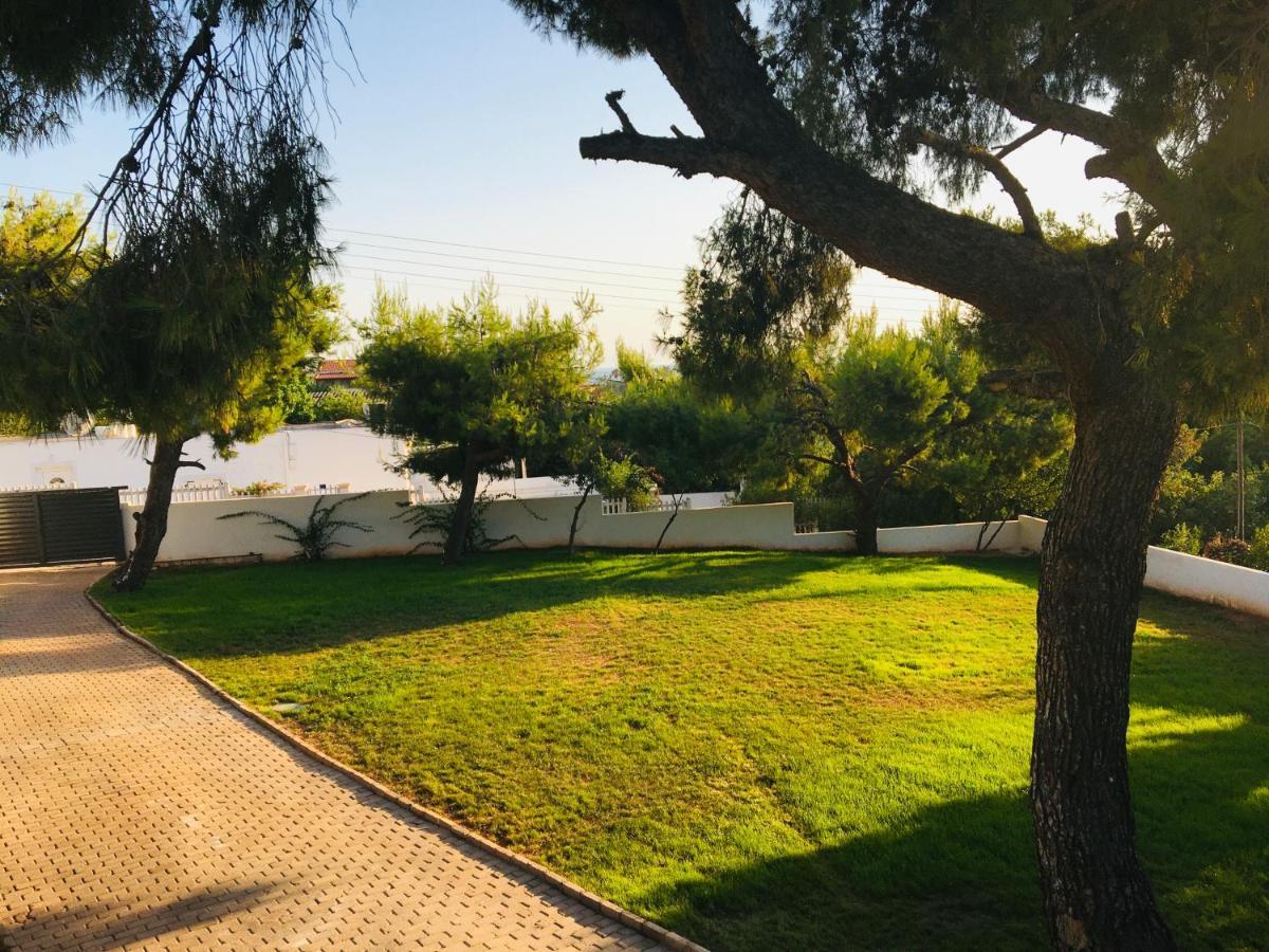 Villa Tranquility Лагонисси Экстерьер фото